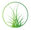 Logo-ikon for Green Guys – Professionel havehjælp og græsslåning i Holbæk.